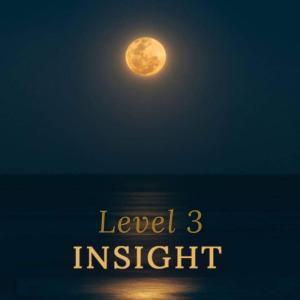 INSIGHT LEVEL THREE