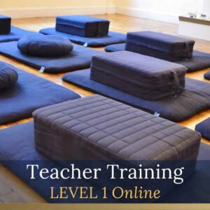 TRAIN TO TEACH – LEVEL 1 ONLINE